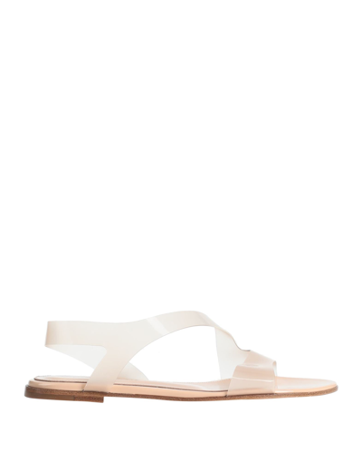 Gianvito Rossi Sandals In Blush