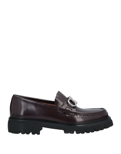Ferragamo Loafers In Maroon