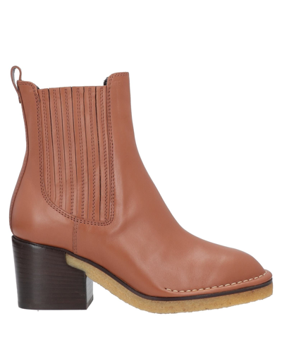 Tod's Ankle Boots In Brown