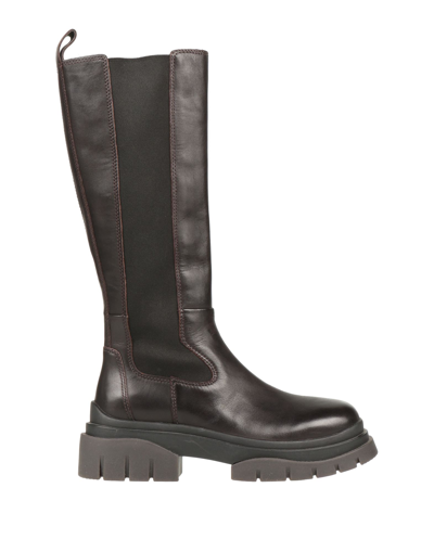 Ash Knee Boots In Brown