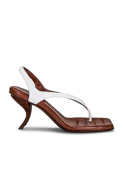 Gia Borghini X Rhw Rosie 13 Leather Thong Sandals In Ivory