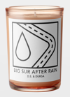 D.S. & DURGA 7 OZ. BIG SUR AFTER RAIN CANDLE