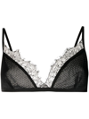 DION LEE CHANTILLY MESH TRIANGLE BRA