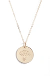 Nashelle Birth Flower Necklace In 14k Gold Fill - January