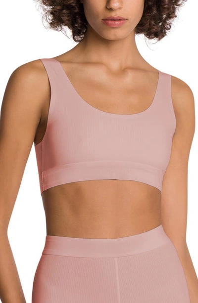 Wolford Beauty Cotton Scoop Neck Bralette In Powder Pink