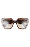 Tom Ford Phobe 56mm Square Sunglasses In Shiny Classic Dark Havana