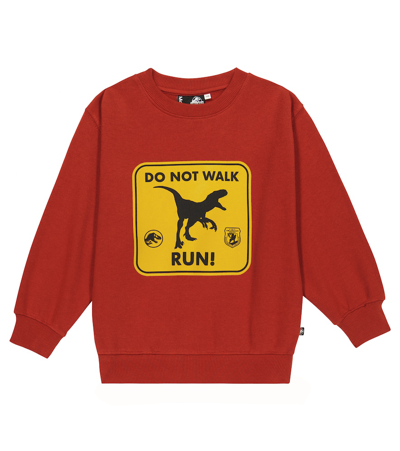 Molo Kids' Monti Printed Sweatshirt In Run