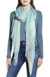 Nordstrom Print Modal & Silk Scarf In Blue Fields Of Color