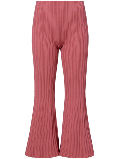 Proenza Schouler White Label Rib-knit Flared Trousers In Rosa