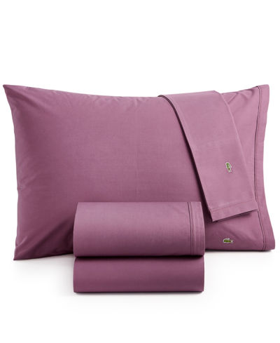 Lacoste Home Solid Cotton Percale Sheet Set, King In Plum