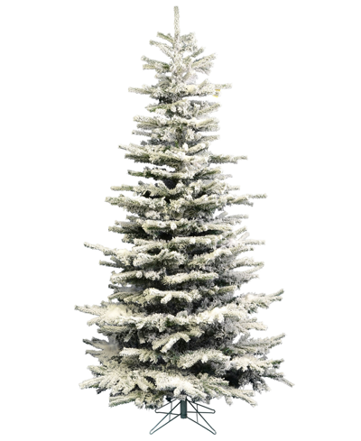 Vickerman 6.5' Flocked Sierra Fir Slim Artificial Christmas Tree Unlit In White