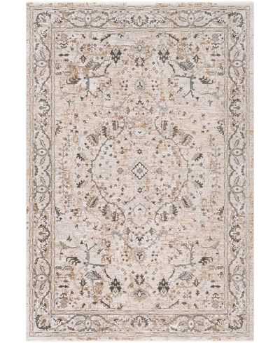 Surya Brunswick Bwk2312 6'7" X 9'6" Area Rug In Beige