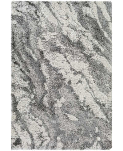 Surya Alta Shag Asg2301 6'7" X 9' Area Rug In Silver