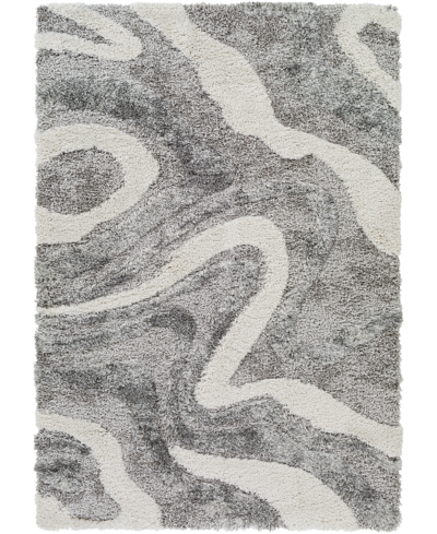 Surya Alta Shag Asg2303 5'3" X 7' Area Rug In Charcoal