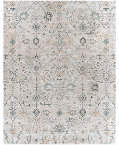 Surya Brunswick Bwk2316 7'10" X 10'3" Area Rug In Beige