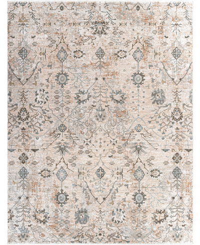 Surya Brunswick Bwk2311 7'10" X 10'3" Area Rug In Tan/beige