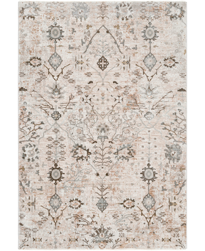 Surya Brunswick Bwk2311 2'7" X 4' Area Rug In Khaki