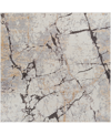Surya Tuscany Tus2314 7'10" X 7'10" Square Area Rug In Gray
