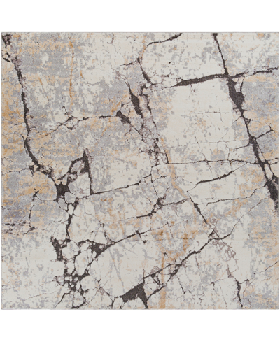 SURYA TUSCANY TUS2314 7'10" X 7'10" SQUARE AREA RUG