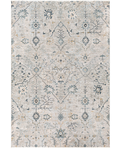 Surya Brunswick Bwk2316 2' X 3' Area Rug In Beige