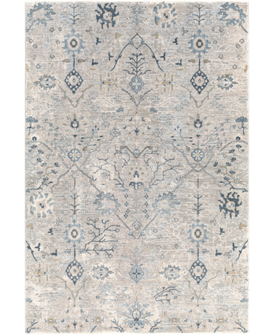 Surya Brunswick Bwk2316 5' X 7'5" Area Rug In Beige