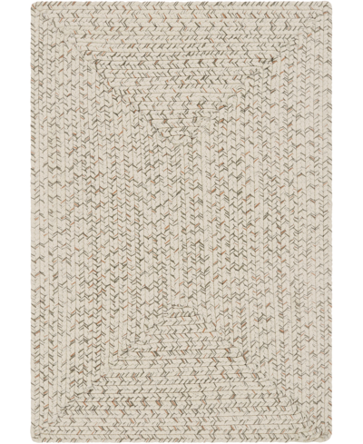 Surya Chesapeake Bay Cpk2303 3' X 5' Outdoor Area Rug In Cream-gray