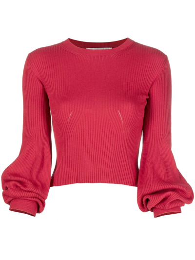 Stella Mccartney Juliet Sleeves Crew Neck Jumper In Rust