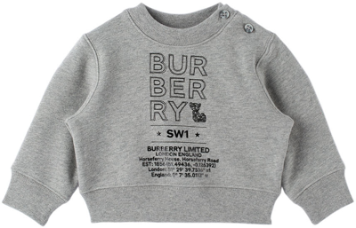 Burberry Baby Grey Joel Jumper In Grey Melange