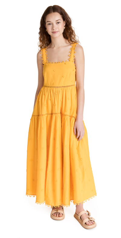Farm Rio Open-back Appliquéd Crochet-trimmed Cotton-voile Maxi Dress In Yellow