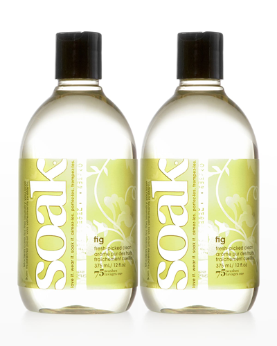 Soak Wash Shop & Share Laundry Soap, 2 X 12 Oz. In Fig