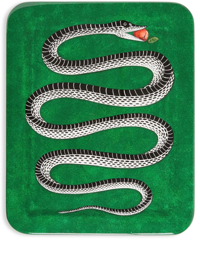 Fornasetti Serpente Wool Tray In Grün