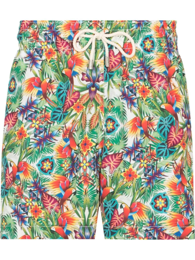 Arrels Barcelona Tropical-print Swim Shorts In Green