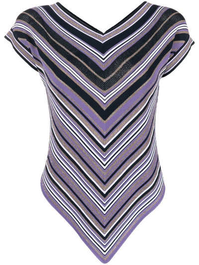 D.exterior Striped Sleeveless Knit Top In Purple