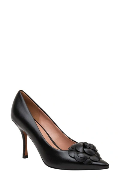 Linea Paolo Primrose Pointed Toe Pump In Black