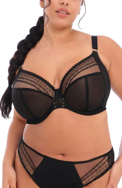 Elomi Matilda Full Figure Underwire Plunge Bra In Black Star