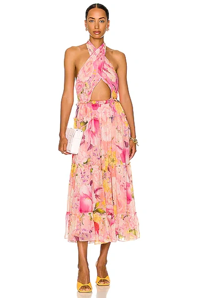 Rococo Sand Halter Midi Dress In Pink