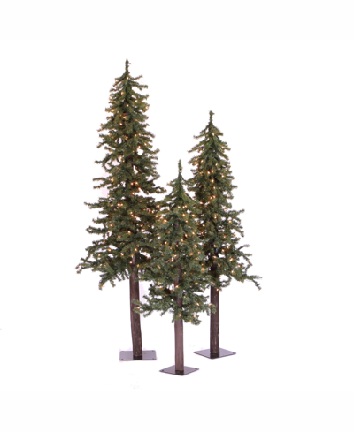 Vickerman 4' 5' 6' Natural Alpine Artificial Christmas Tree Set With 500 Clear Lights In Green