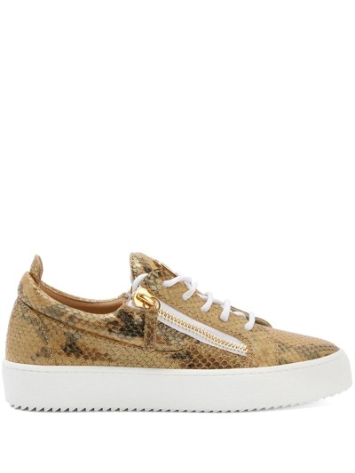 Giuseppe Zanotti Gail Snakeskin-effect Trainers In Gold