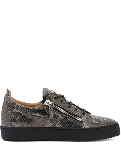 Giuseppe Zanotti Frankie Reptile-print Sneakers In Grey