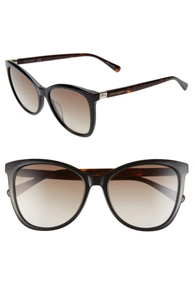 Longchamp Le Pliage 55mm Gradient Cat Eye Sunglasses In Black Havana/ Khaki