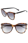 Longchamp Le Pliage 55mm Gradient Cat Eye Sunglasses In Havana Blue/ Grey