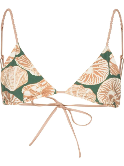 Johanna Ortiz Seashell-graphic Triangle Bikini Top In Green