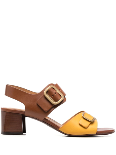 Tod's Buckle-strap Leather Sandals In Orange