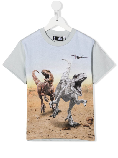 Molo Kids' Roxo Graphic T-shirt Dinos Galore In 灰色