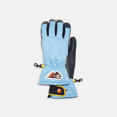 Coach Outlet Signature Ski Gloves In Black