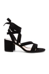 GIANVITO ROSSI Suede Janis Low Sandals,G30653 60RIC CAM