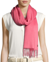 Loro Piana Cashmere Sciarpa Grande Fringe-trim Scarf In Light Pink