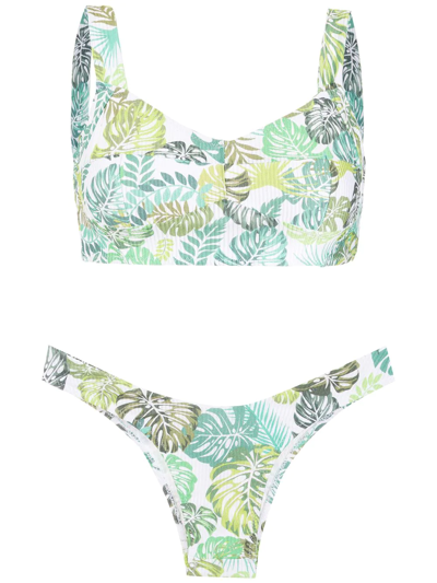 Amir Slama Palm Leaf Print Bikini In Green