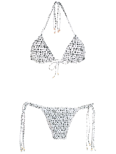 Amir Slama Polka Dot-print Triangle Bikini In Neutrals