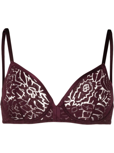 Eres Floral-lace Detail Bra In Purple